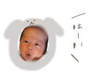 850769184