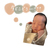 850769191