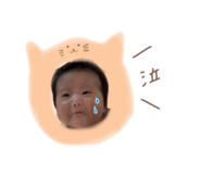 850769195
