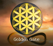 850769711