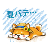 850773602
