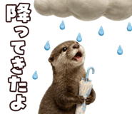 850773965