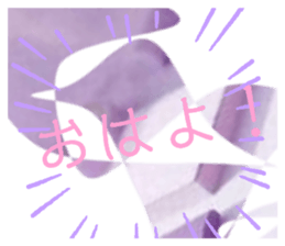 850777209
