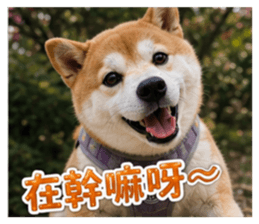 850777396