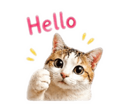 850778028