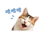 850778032