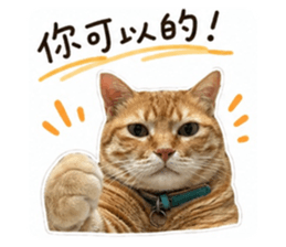 850780471