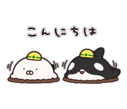 850783151