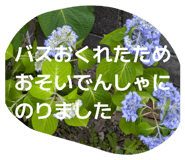 850783553