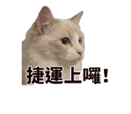850784850