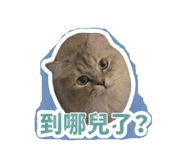 850784853