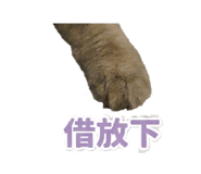 850784855