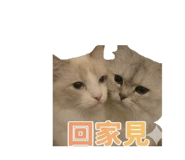 850784856