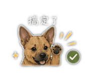 850785364