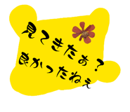 850788979