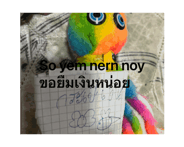 850797728