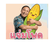 850800312
