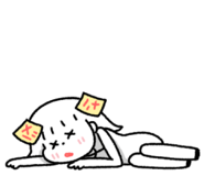 850804684