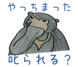 8508274