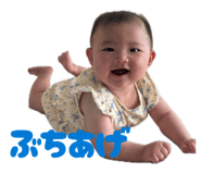 850880348