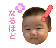850881191