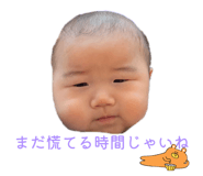 850881196