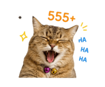 850882872