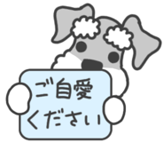 850883422