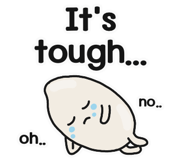 850931448