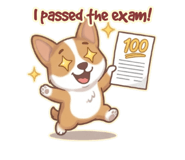 850931714