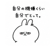 850932684