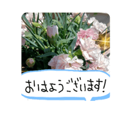 850933754