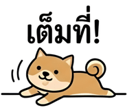 851005065