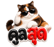 851020018