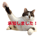 851024666