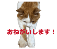851024669