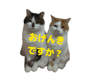 851024676