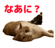 851024685