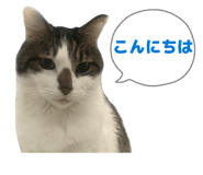 851024686
