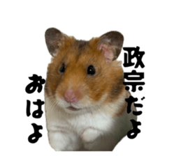851030169