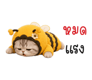 851032359