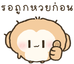 จูจู ลิงน้อย 19