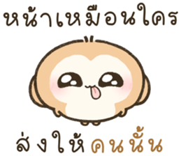 จูจู ลิงน้อย 27