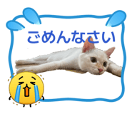 851033442