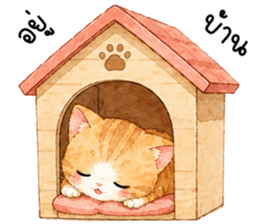 มีมี่ เหมียวน้อยแสนซน รูปที่ 6