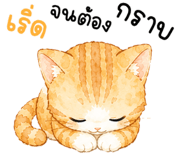 มีมี่ เหมียวน้อยแสนซน รูปที่ 10