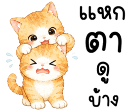 มีมี่ เหมียวน้อยแสนซน รูปที่ 28