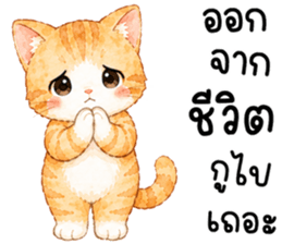 มีมี่ เหมียวน้อยแสนซน รูปที่ 33