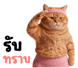 แมวส้มส้ม ❤️ รัดติ้ว 8