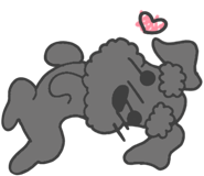 851042922